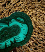 Malachite Slice raw unique design heart shape + FREE wood stand luxury gift