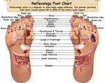 Reflexology (Foot massage) 30min/ 60min